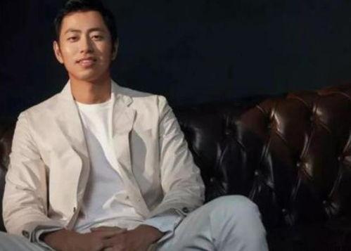 王昱珩被刘大锤爆料视频,揭秘背后真相  第3张